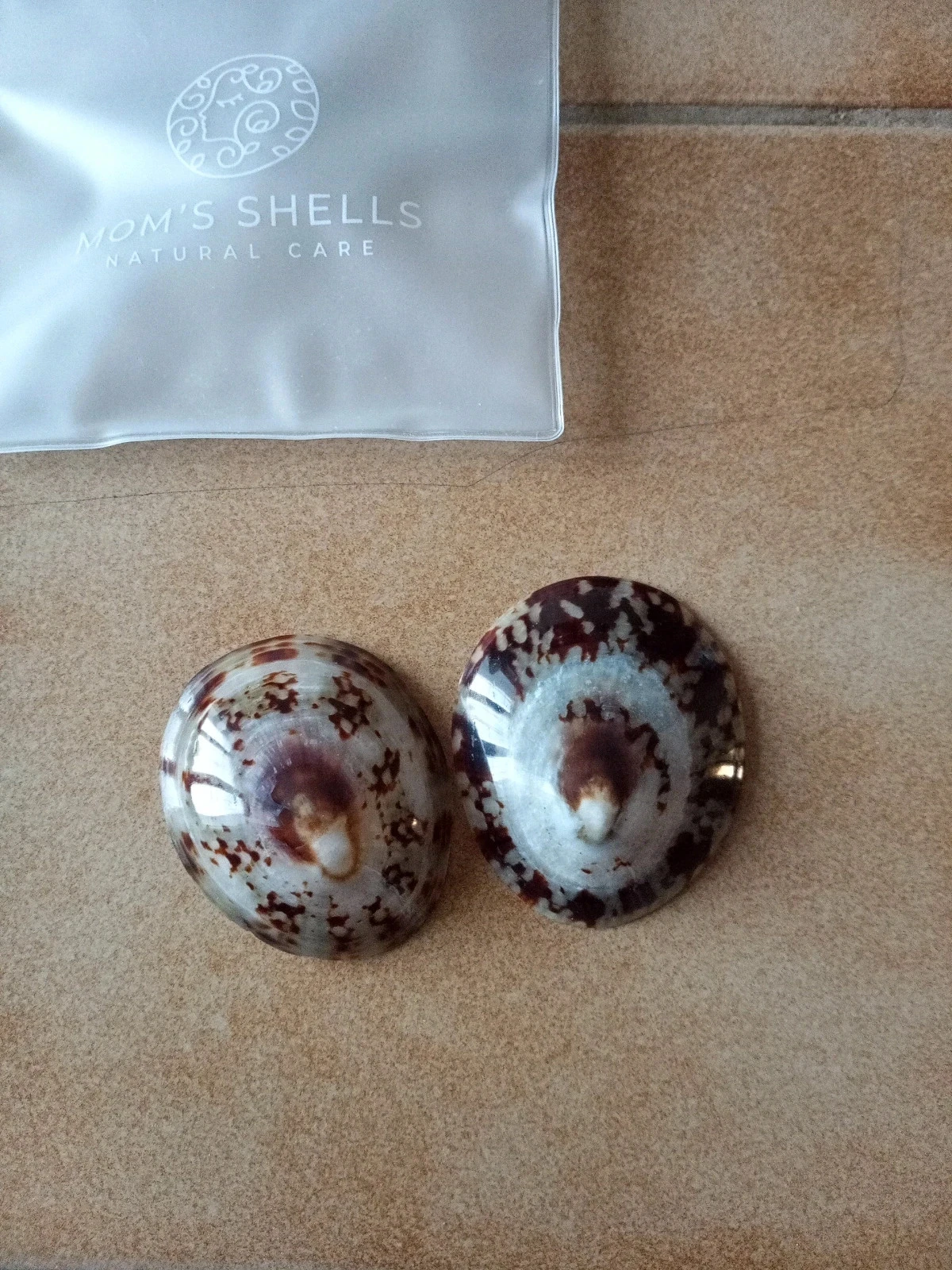 Coquillages d allaitement